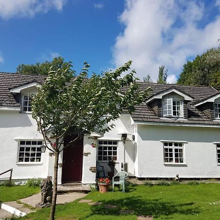 Coynant Farm Guesthouse - Farm Park Stay Swansea Exterior foto
