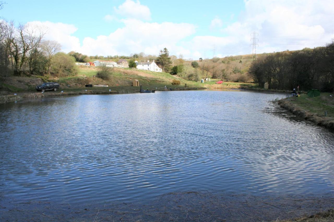 Coynant Farm Guesthouse - Farm Park Stay Swansea Exterior foto