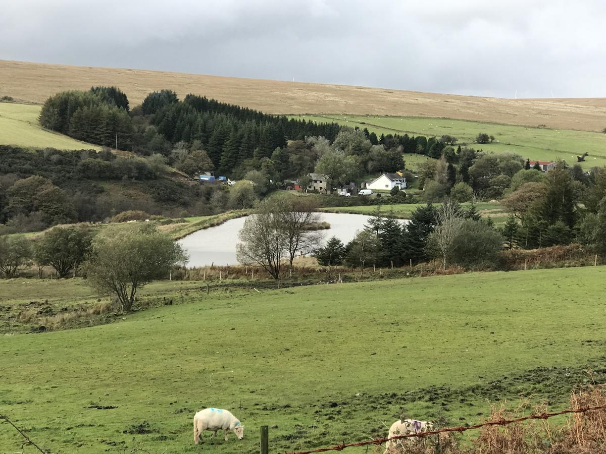 Coynant Farm Guesthouse - Farm Park Stay Swansea Exterior foto