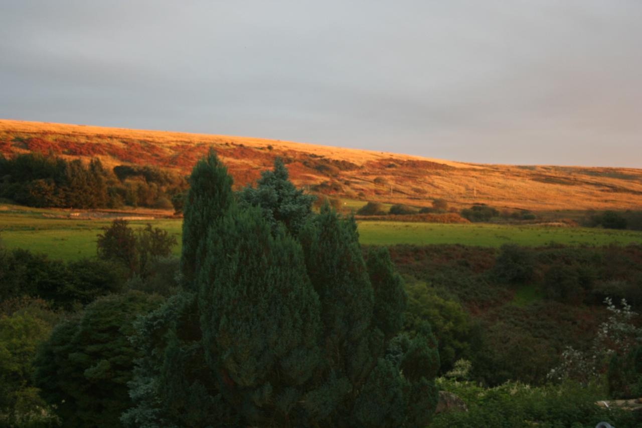 Coynant Farm Guesthouse - Farm Park Stay Swansea Exterior foto